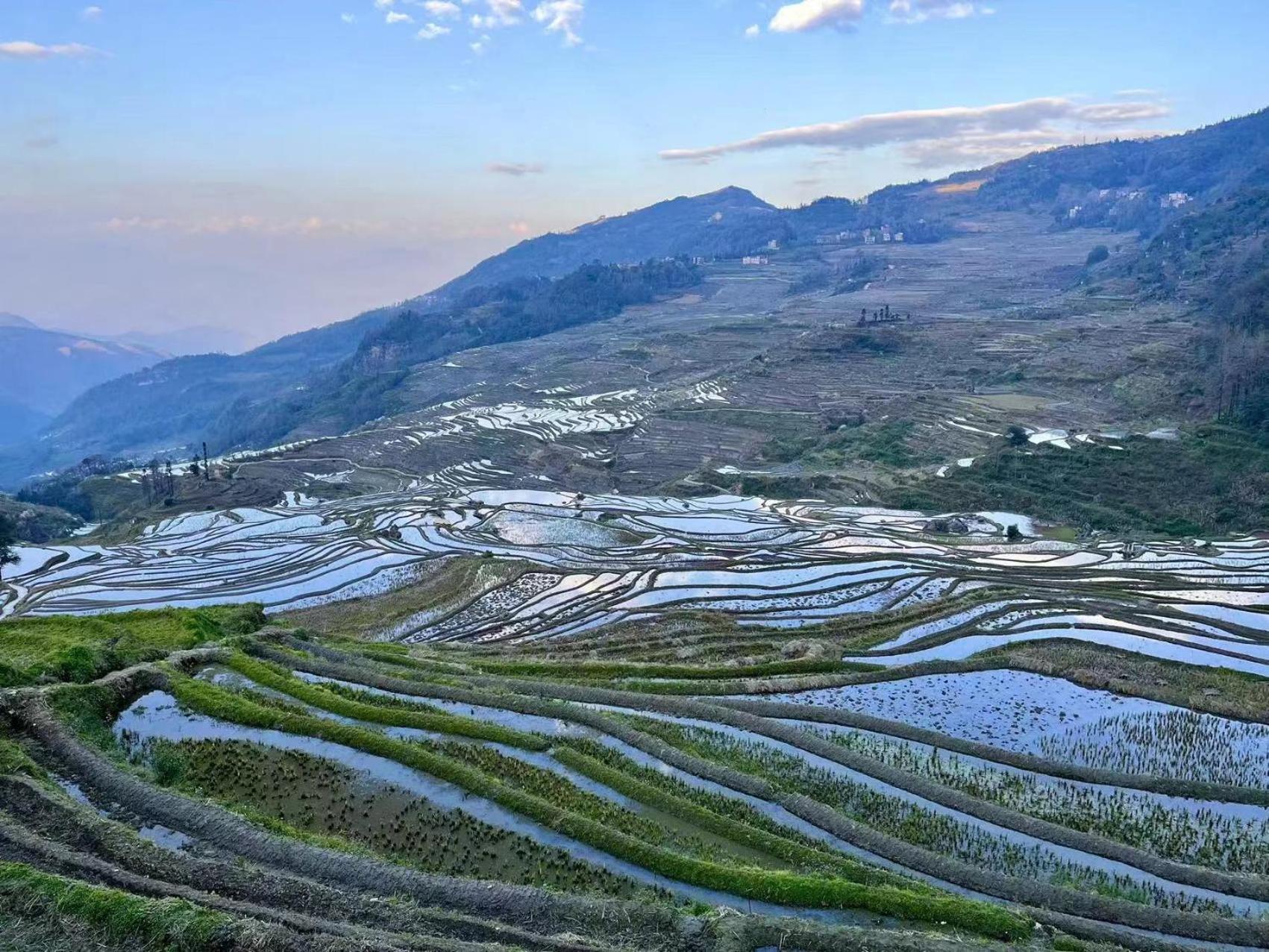 Yuanyang Flower And Horse Inn Exterior photo